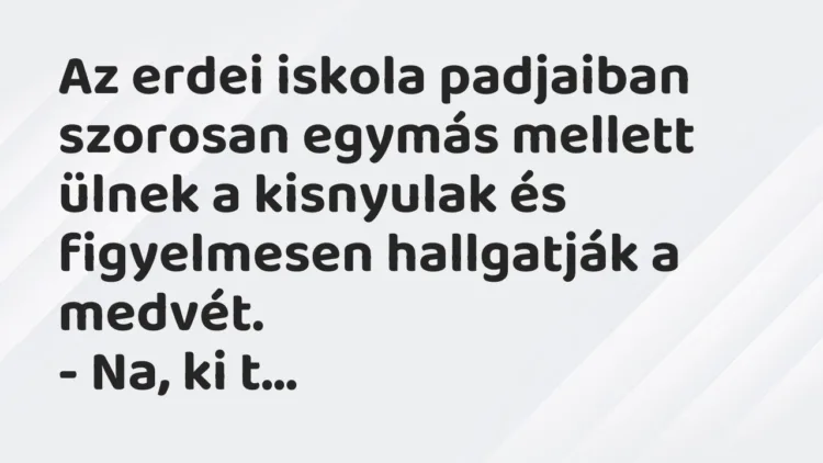 Vicc: Az erdei iskola padjaiban szorosan egymás mellett ülnek a kisnyulak és… Vicc: Az erdei iskola padjaiban szorosan egymás mellett ülnek a kisnyulak és…