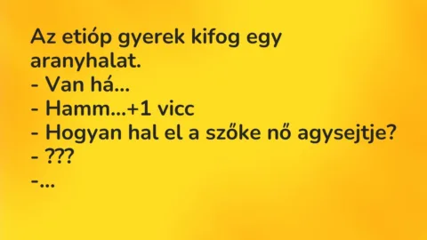 Vicc: Az etióp gyerek kifog egy aranyhalat.

– Van há…

– Hamm…