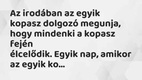 Vicc: Az irodában az egyik kopasz dolgozó megunja, hogy mindenki a kopasz…