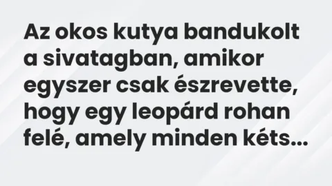 Vicc: Az okos kutya bandukolt a sivatagban, amikor egyszer csak észrevette, hogy egy…