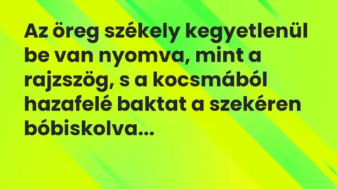 Vicc: Az öreg székely kegyetlenül be van nyomva, mint a rajzszög, s a kocsmából…