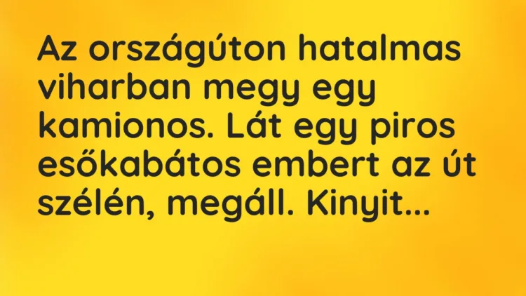 Vicc: Az országúton hatalmas viharban megy egy kamionos. Lát egy piros esőkabátos… Vicc: Az országúton hatalmas viharban megy egy kamionos. Lát egy piros esőkabátos…