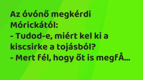 Vicc: Az óvónő megkérdi Mórickától:

– Tudod-e, miért kel ki a kiscsirke a…