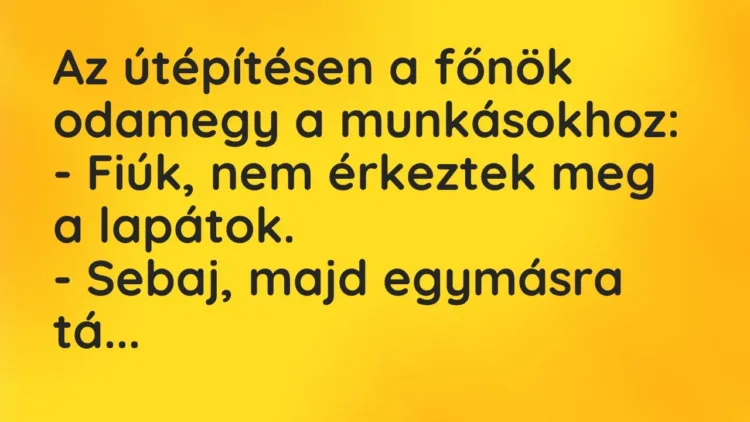 Vicc: Az útépítésen a főnök odamegy a munkásokhoz:
– Fiúk, nem érkeztek meg a… Vicc: Az útépítésen a főnök odamegy a munkásokhoz:
– Fiúk, nem érkeztek meg a…
