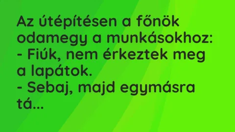 Vicc: Az útépítésen a főnök odamegy a munkásokhoz:

– Fiúk, nem érkeztek meg a…