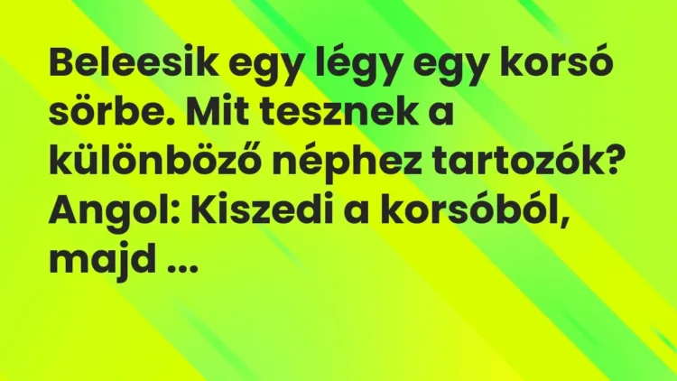 Vicc: Beleesik egy légy egy korsó sörbe. Mit tesznek a különböző néphez… Vicc: Beleesik egy légy egy korsó sörbe. Mit tesznek a különböző néphez…