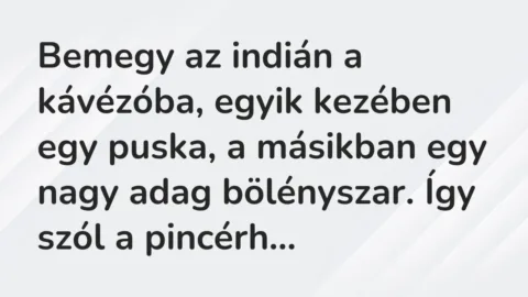 Vicc: Bemegy az indián a kávézóba, egyik kezében egy puska, a másikban egy nagy adag…