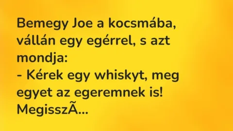 Vicc: Bemegy Joe a kocsmába, vállán egy egérrel, s azt mondja:

– Kérek egy…