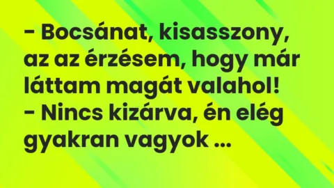 Vicc: – Bocsánat, kisasszony, az az érzésem, hogy már láttam magát valahol!

-…