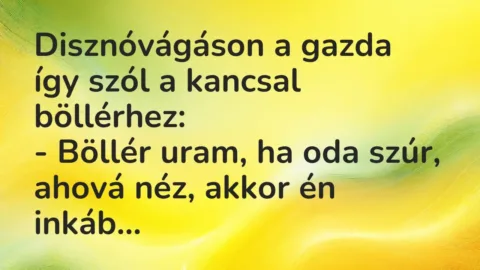 Vicc: Disznóvágáson a gazda így szól a kancsal böllérhez:

– Böllér uram, ha oda…