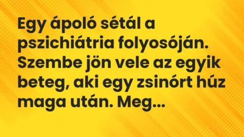 Vicc: Egy ápoló sétál a pszichiátria folyosóján. Szembe jön vele az egyik beteg, aki…