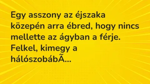 Vicc: Egy asszony az éjszaka közepén arra ébred, hogy nincs mellette az ágyban a férje… Vicc: Egy asszony az éjszaka közepén arra ébred, hogy nincs mellette az ágyban a férje…