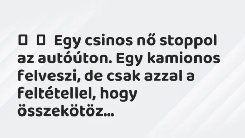 Vicc:
Egy csinos nő stoppol az autóúton. Egy kamionos felveszi, de csak… Vicc:
Egy csinos nő stoppol az autóúton. Egy kamionos felveszi, de csak…