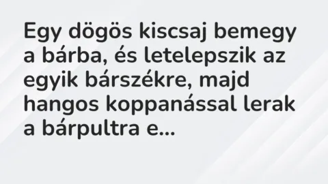 Vicc: Egy dögös kiscsaj bemegy a bárba, és letelepszik az egyik bárszékre, majd hangos…