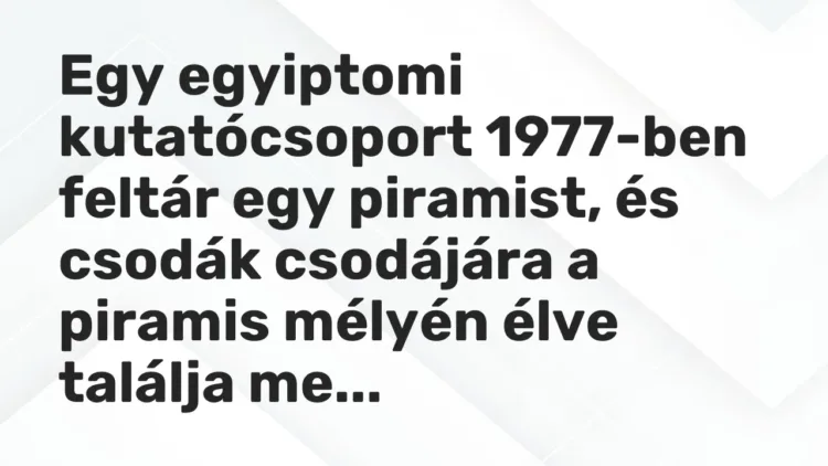 Vicc: Egy egyiptomi kutatócsoport 1977-ben feltár egy piramist, és csodák csodájára a… Vicc: Egy egyiptomi kutatócsoport 1977-ben feltár egy piramist, és csodák csodájára a…