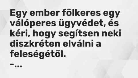 Vicc: Egy ember fölkeres egy válóperes ügyvédet, és kéri, hogy segítsen neki…