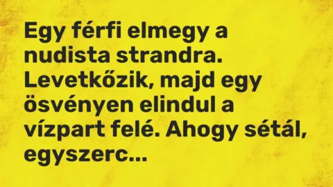 Vicc: Egy férfi elmegy a nudista strandra. Levetkőzik, majd egy ösvényen elindul a…