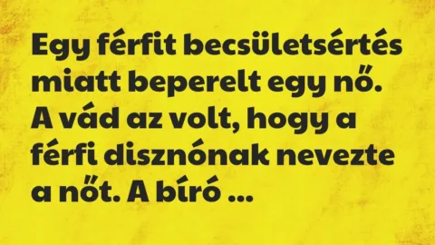 Vicc: Egy férfit becsületsértés miatt beperelt egy nő. A vád az volt, hogy a férfi… Vicc: Egy férfit becsületsértés miatt beperelt egy nő. A vád az volt, hogy a férfi…