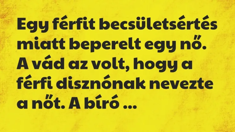 Vicc: Egy férfit becsületsértés miatt beperelt egy nő. A vád az volt, hogy a férfi… Vicc: Egy férfit becsületsértés miatt beperelt egy nő. A vád az volt, hogy a férfi…
