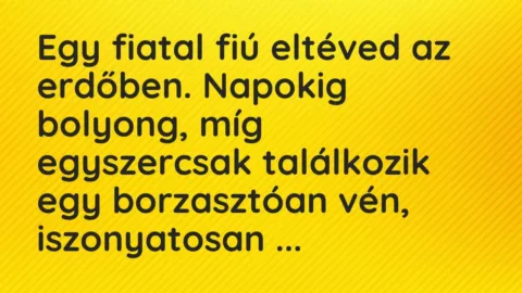Vicc: Egy fiatal fiú eltéved az erdőben. Napokig bolyong, míg egyszercsak találkozik… Vicc: Egy fiatal fiú eltéved az erdőben. Napokig bolyong, míg egyszercsak találkozik…