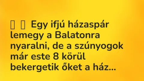 Vicc: 
	    	    Egy ifjú házaspár lemegy a Balatonra nyaralni, de a szúnyogok már…