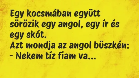 Vicc: Egy kocsmában együtt sörözik egy angol, egy ír és egy skót.

Azt mondja az a…