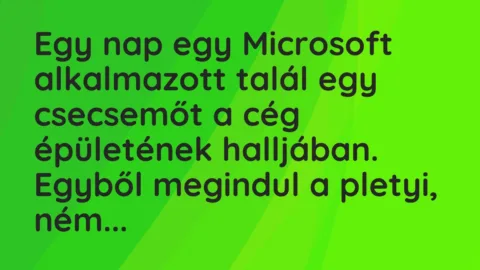 Vicc: Egy nap egy Microsoft alkalmazott talál egy csecsemőt a cég épületének…