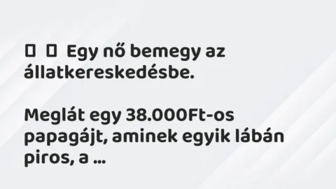 Vicc: 
	    	    Egy nő bemegy az állatkereskedésbe.


Meglát egy 38.000Ft-os…