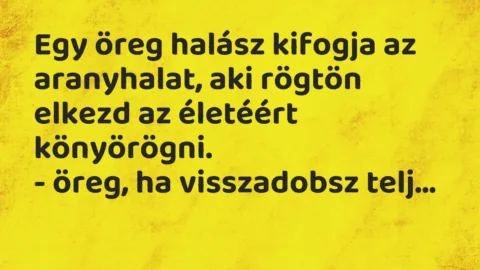 Vicc: Egy öreg halász kifogja az aranyhalat, aki rögtön elkezd az életéért…