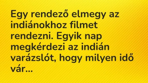 Vicc: Egy rendező elmegy az indiánokhoz filmet rendezni. Egyik nap megkérdezi az…