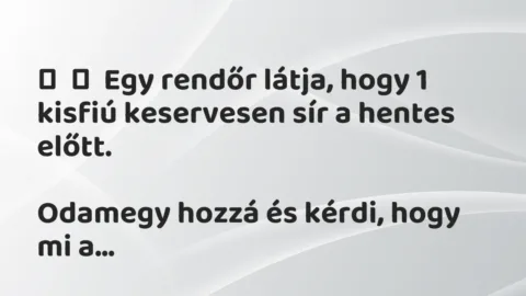 Vicc: 
	    	    Egy rendőr látja, hogy 1 kisfiú keservesen sír a hentes…