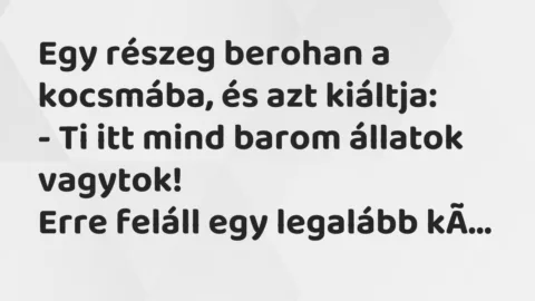 Vicc: Egy részeg berohan a kocsmába, és azt kiáltja:

– Ti itt mind barom állatok…