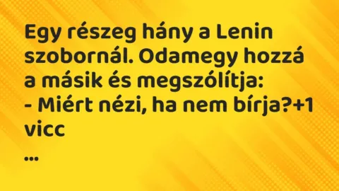 Vicc: Egy részeg hány a Lenin szobornál. Odamegy hozzá a másik és megszólítja:

-…