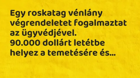 Vicc: Egy roskatag vénlány végrendeletet fogalmaztat az ügyvédjével.

90.000…