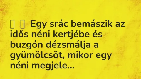 Vicc: 
	    	    Egy srác bemászik az idős néni kertjébe és buzgón dézsmálja a…