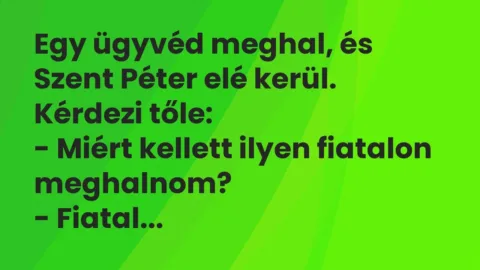 Vicc: Egy ügyvéd meghal, és Szent Péter elé kerül. Kérdezi tőle:

– Miért kellett…