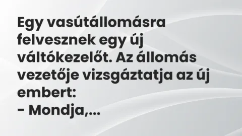 Vicc: Egy vasútállomásra felvesznek egy új váltókezelőt. Az állomás vezetője…