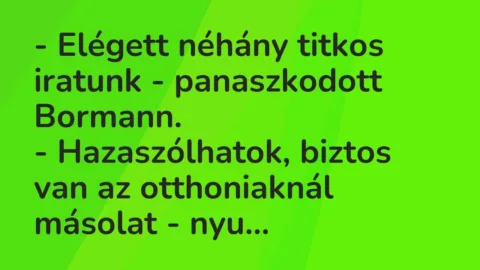 Vicc: – Elégett néhány titkos iratunk – panaszkodott Bormann.

– Hazaszólhatok,…