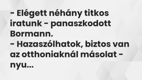 Vicc: – Elégett néhány titkos iratunk – panaszkodott Bormann.

– Hazaszólhatok,…