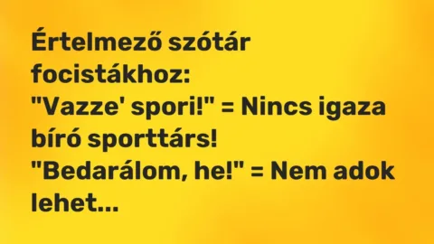 Vicc: Értelmező szótár focistákhoz:

„Vazze’ spori!” = Nincs igaza bíró…