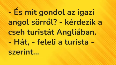 Vicc: – És mit gondol az igazi angol sörről? – kérdezik a cseh turistát…