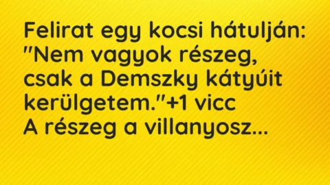 Vicc: Felirat egy kocsi hátulján:

„Nem vagyok részeg, csak a Demszky kátyúit…
