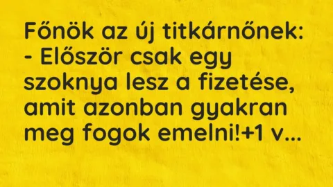 Vicc: Főnök az új titkárnőnek:

– Először csak egy szoknya lesz a fizetése, amit a…