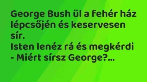 Vicc: George Bush ül a fehér ház lépcsőjén és keservesen sír.

Isten lenéz rá és…