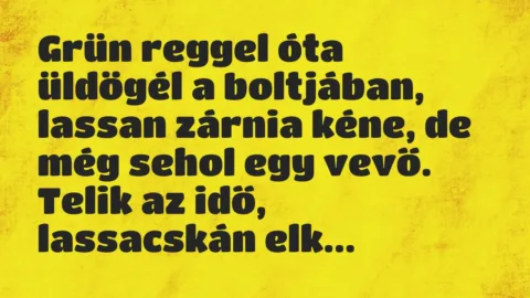 Vicc: Grün reggel óta üldögél a boltjában, lassan zárnia kéne, de még sehol egy vevő….