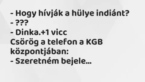 Vicc: – Hogy hívják a hülye indiánt?

– ???

– Dinka.