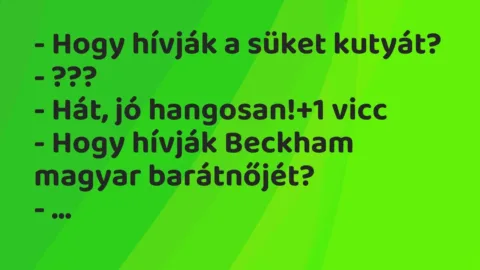 Vicc: – Hogy hívják a süket kutyát?

– ???

– Hát, jó hangosan!