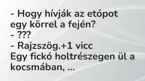 Vicc: – Hogy hívják az etópot egy körrel a fején?

– ???

– Rajzszög.