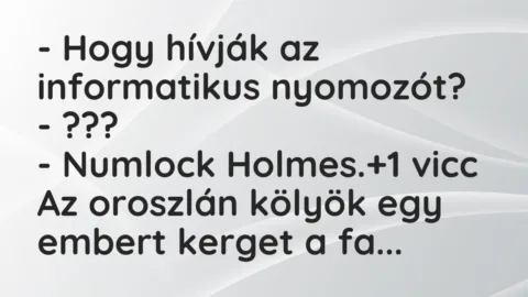 Vicc: – Hogy hívják az informatikus nyomozót?

– ???

– Numlock Holmes.