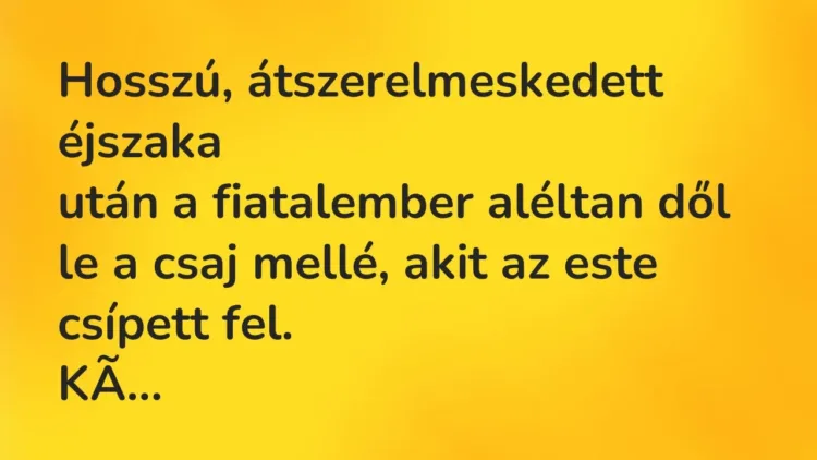 Vicc: Hosszú, átszerelmeskedett éjszaka
után a fiatalember aléltan dől le a csaj… Vicc: Hosszú, átszerelmeskedett éjszaka
után a fiatalember aléltan dől le a csaj…
